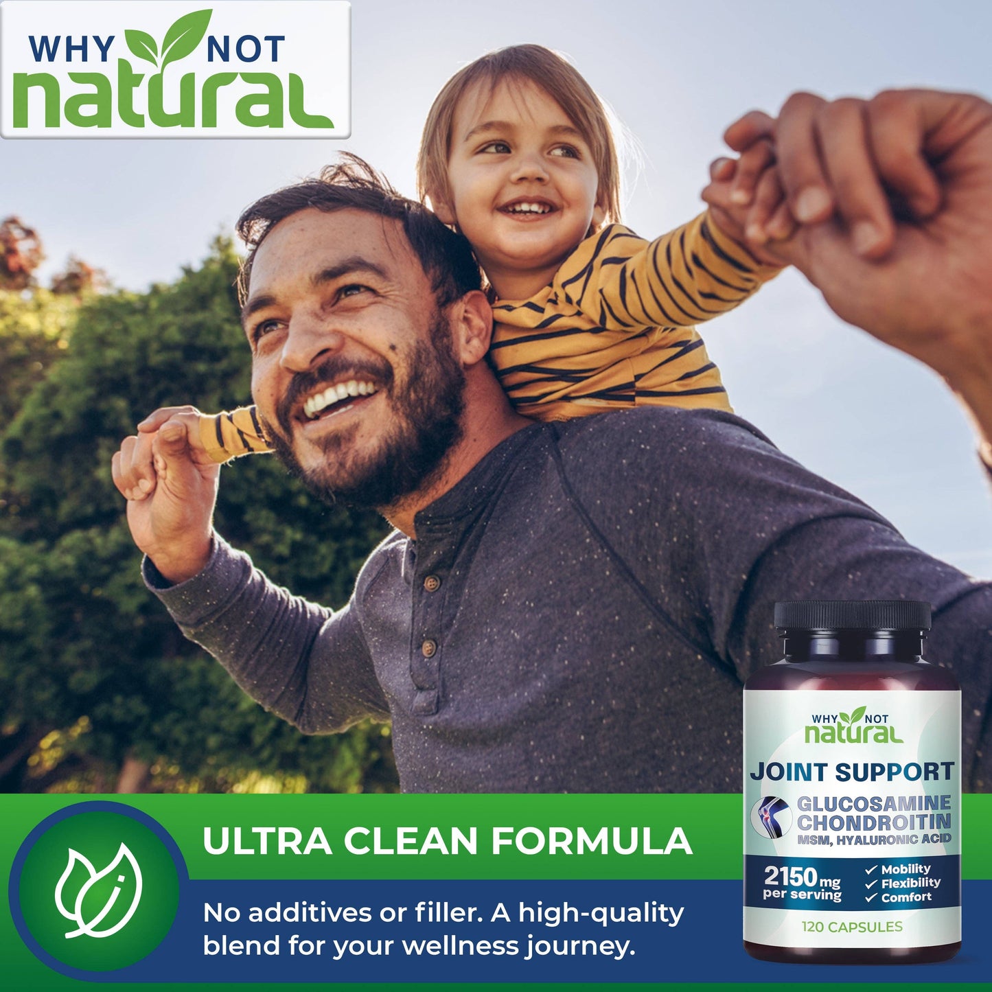 Glucosamine Chondroitin MSM, Joint Support