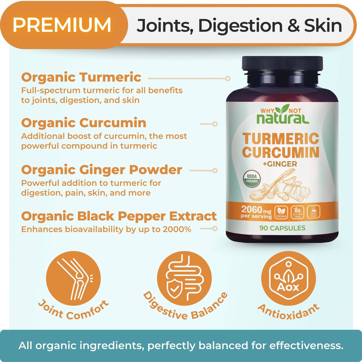 Organic Turmeric Curcumin with Ginger