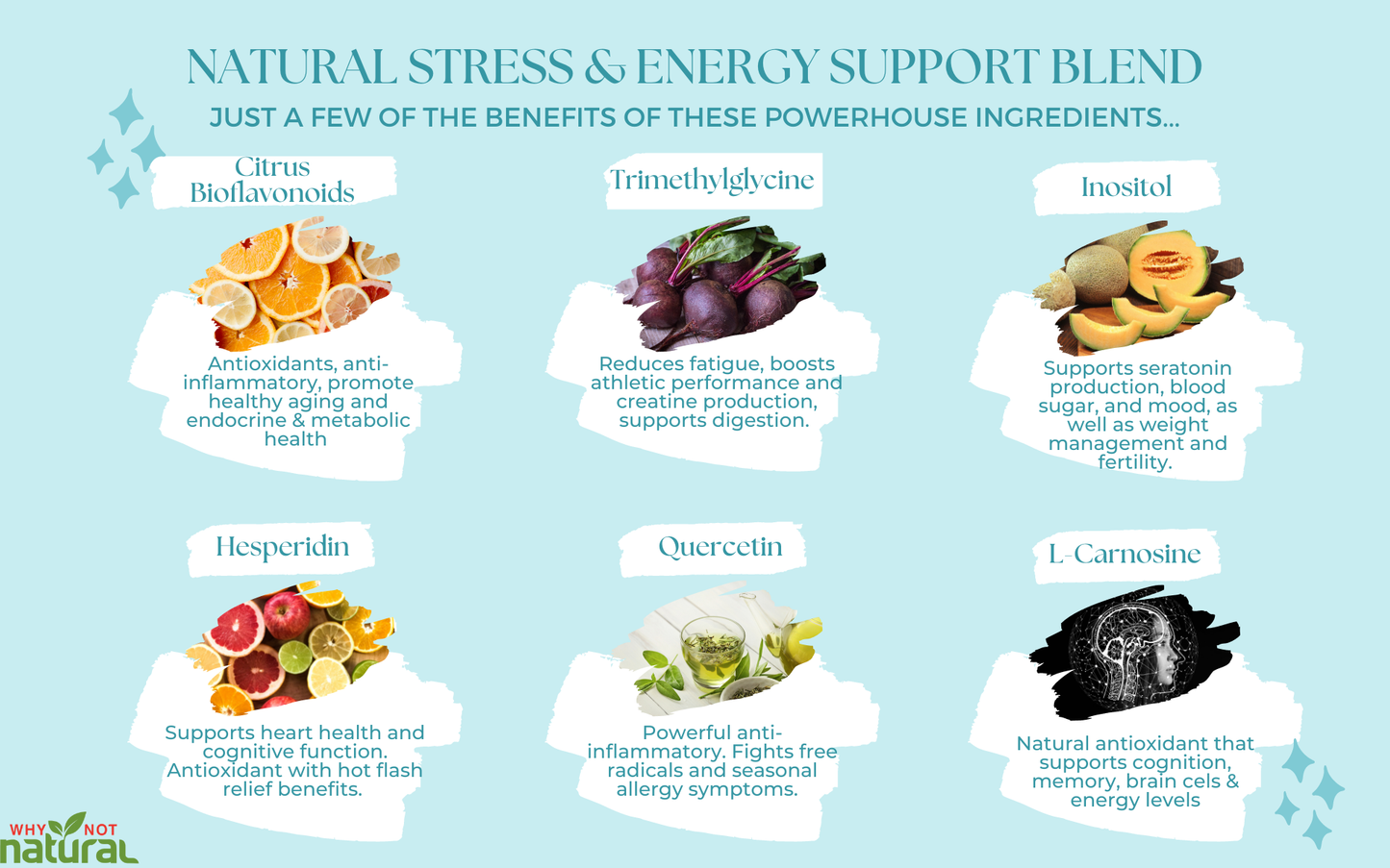 B Complex Liquid: All 8 B Vitamins +Natural Stress & Energy