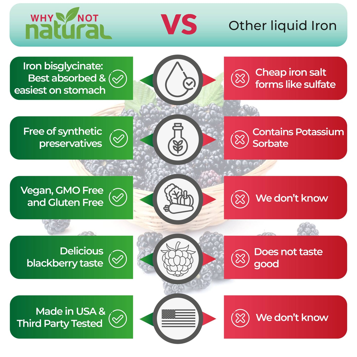 Liquid Iron Supplement for Women, Men and Kids