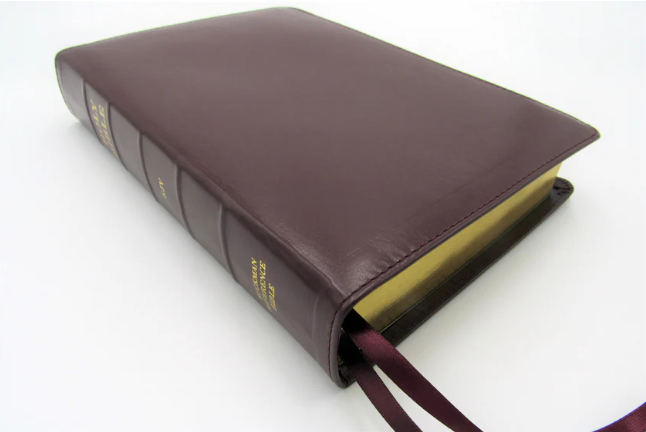 Ruckman Reference Bible (Standard Size)