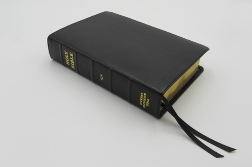 Handsize Ruckman Reference Bible