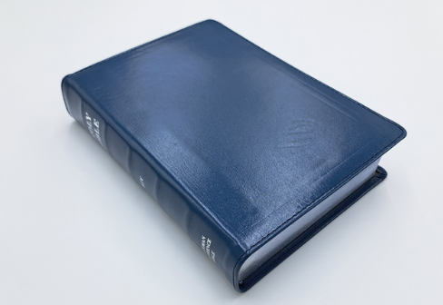 Handsize Ruckman Reference Bible