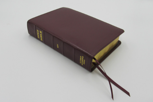 Handsize Ruckman Reference Bible
