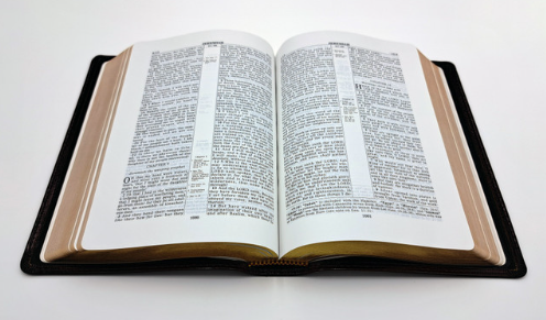 Handsize Ruckman Reference Bible