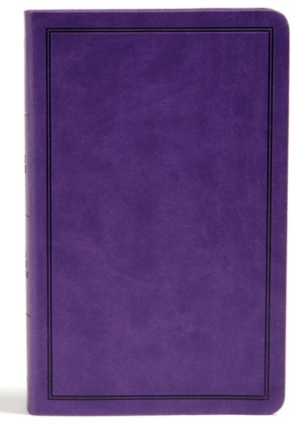 KJV Deluxe Gift Bible- LeatherTouch- Holman
