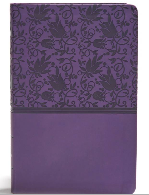 KJV Giant Print Reference Bible- Holman