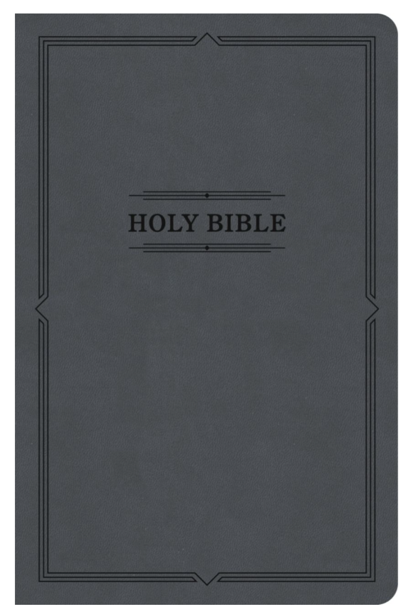 KJV Thinline Bible (Value Edition)- LeatherTouch- Holman
