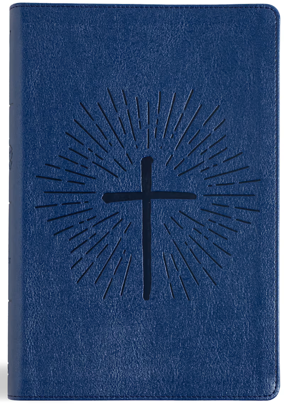 KJV One Big Story Bible- LeatherTouch