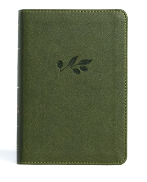 KJV Large Print Compact Reference Bible- LeatherTouch- Holman