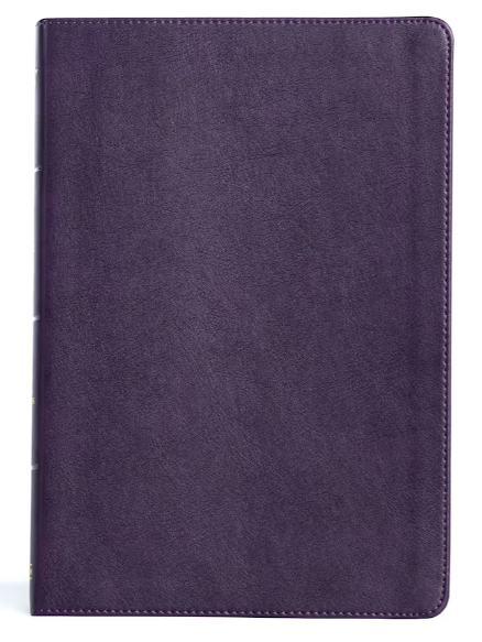 KJV Large Print Thinline Bible, LeatherTouch- Holman