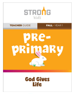 Pre-Primary Strongs Kids KJV Curriculum-Teacher Guide