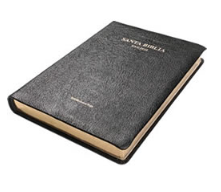 RVG - Full Size Edition (Black)