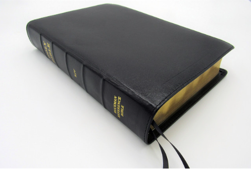 Ruckman Reference Bible (Standard Size)