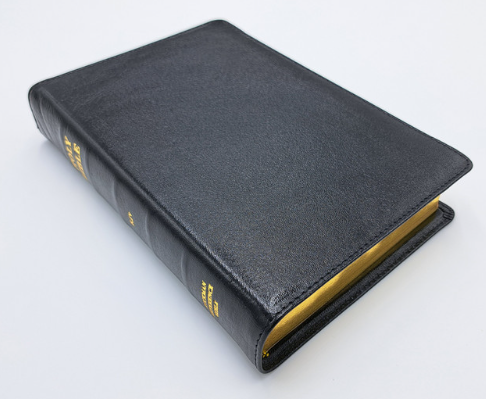 Ruckman Reference Bible (Standard Size)