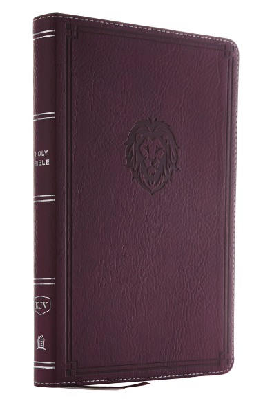 KJV Thinline Bible Youth Edition