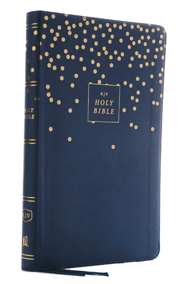 KJV Thinline Bible Youth Edition