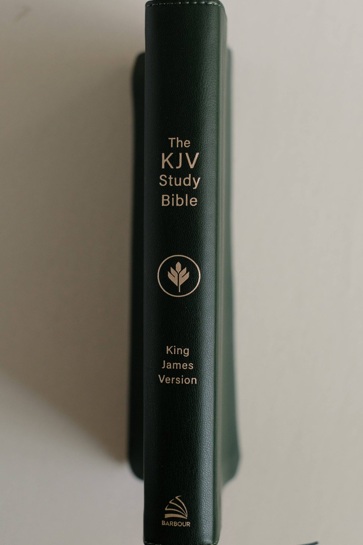 The KJV Study Bible, Indexed (Evergreen Fog)