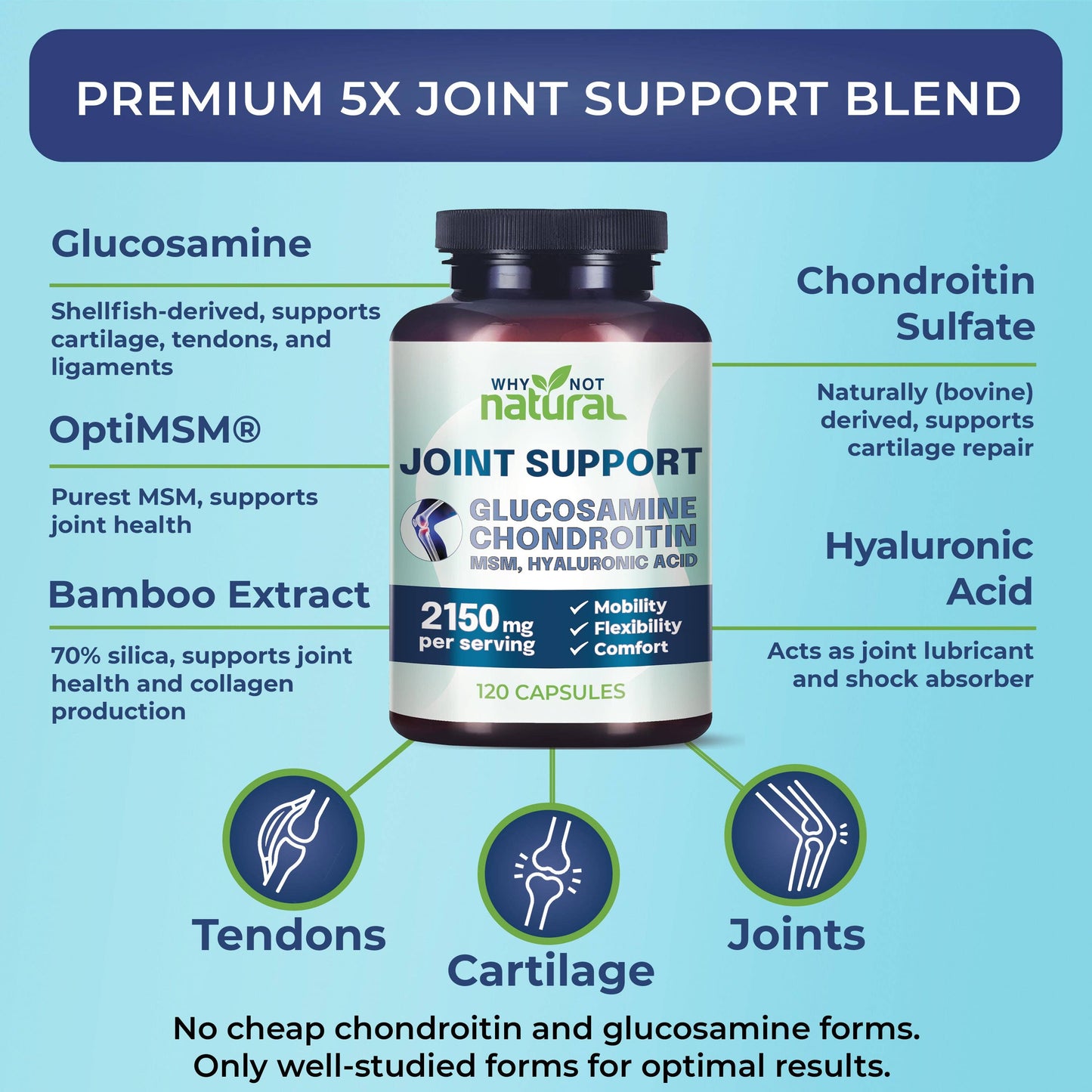 Glucosamine Chondroitin MSM, Joint Support