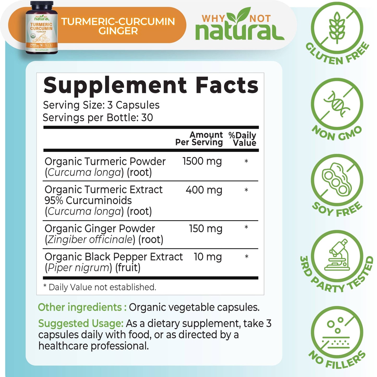 Organic Turmeric Curcumin with Ginger