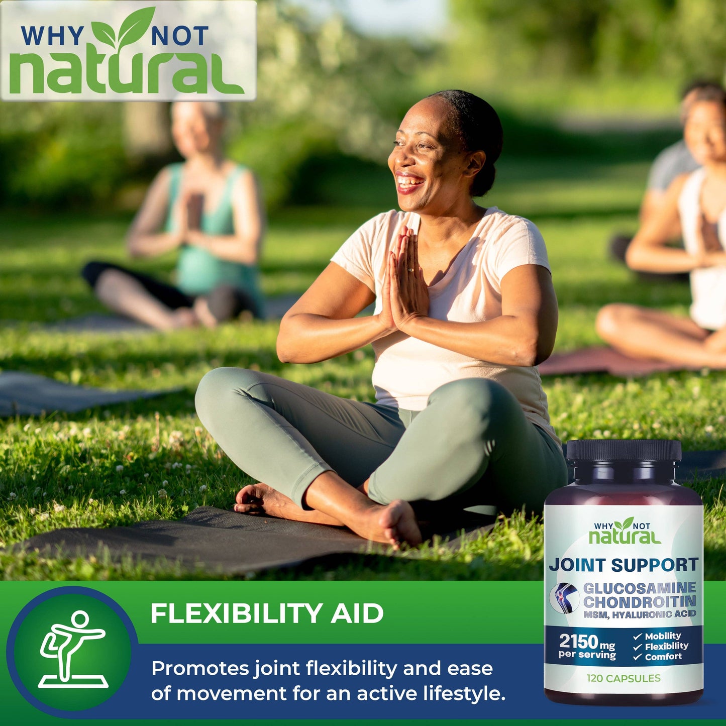 Glucosamine Chondroitin MSM, Joint Support