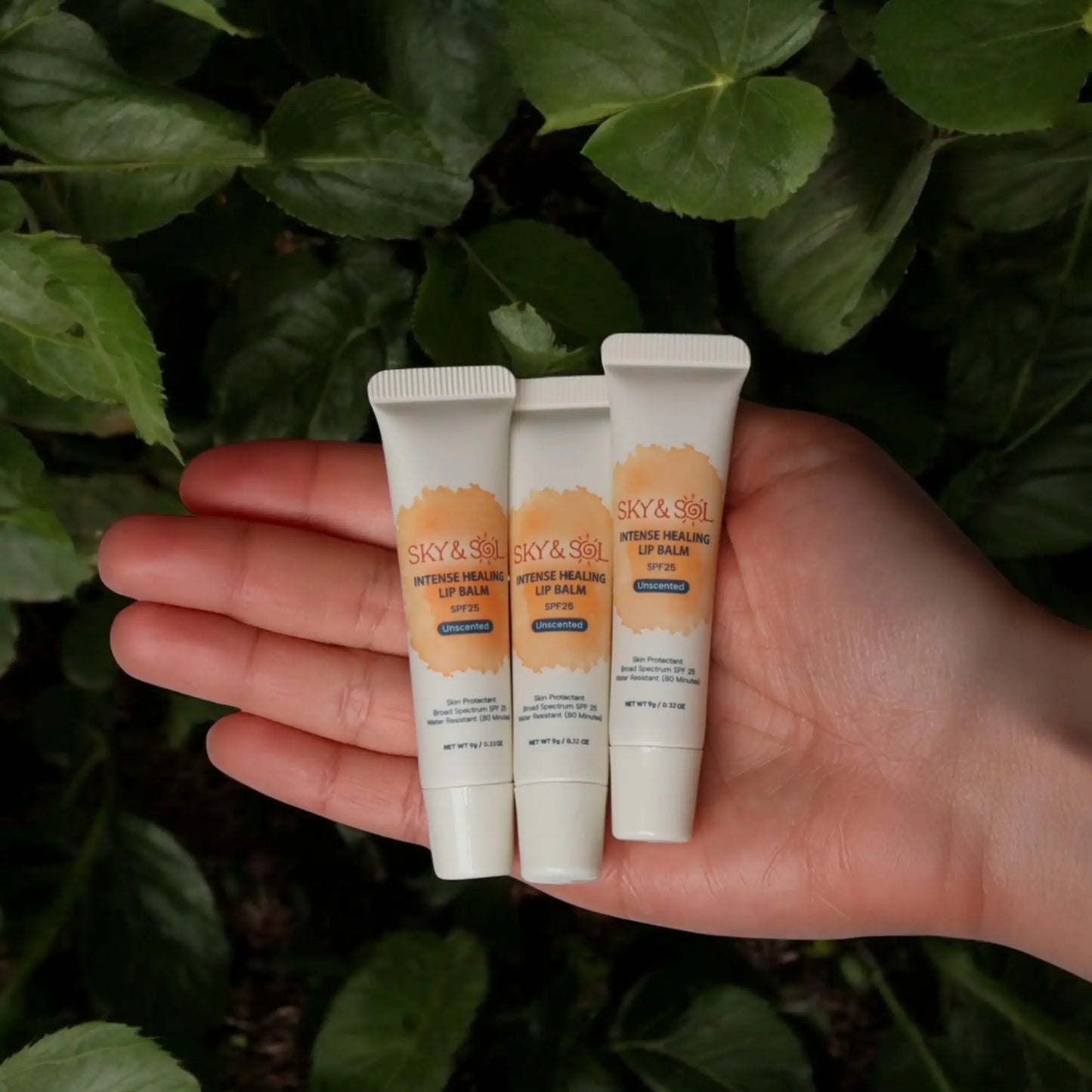 Sky and Sol Moisturizing Lip Jelly SPF 25 (Pack of 3)