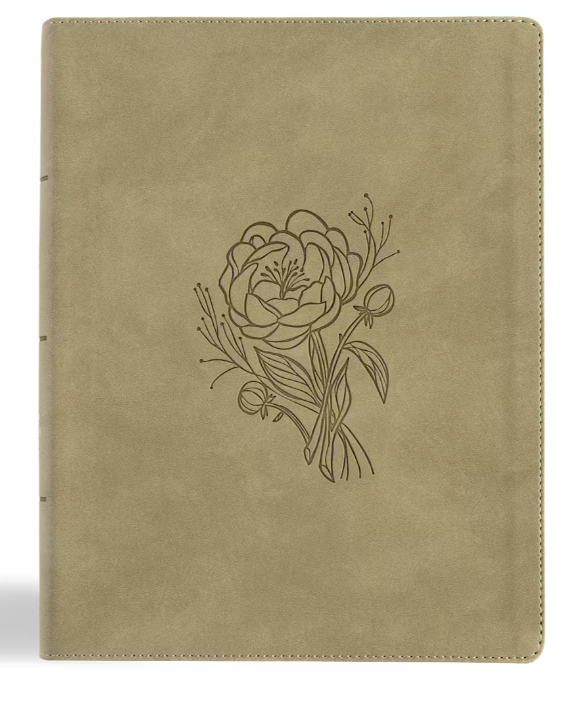 KJV Notetaking Bible, Large Print Edition, LeatherTouch- Holman