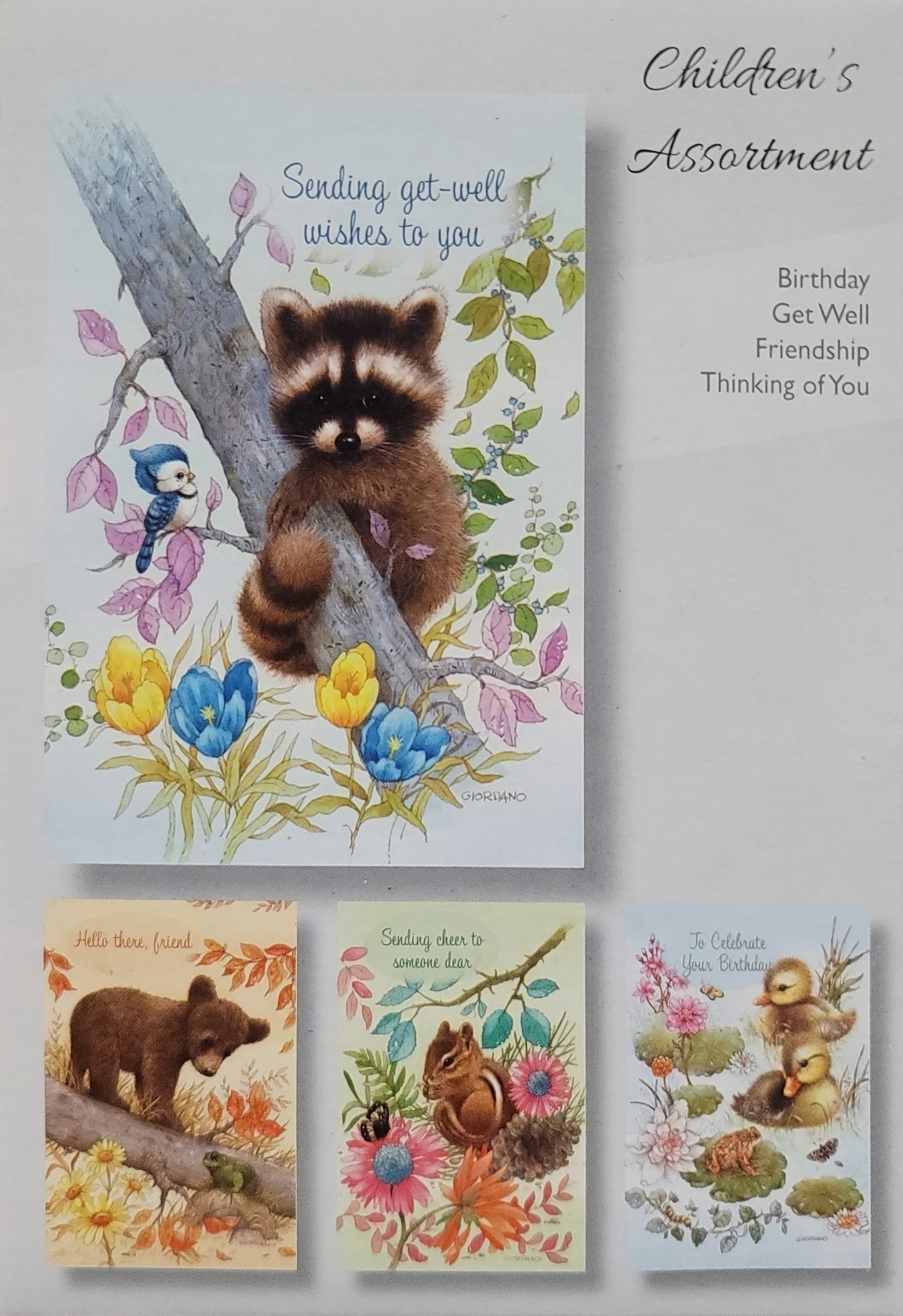 Card Boxes Assorted