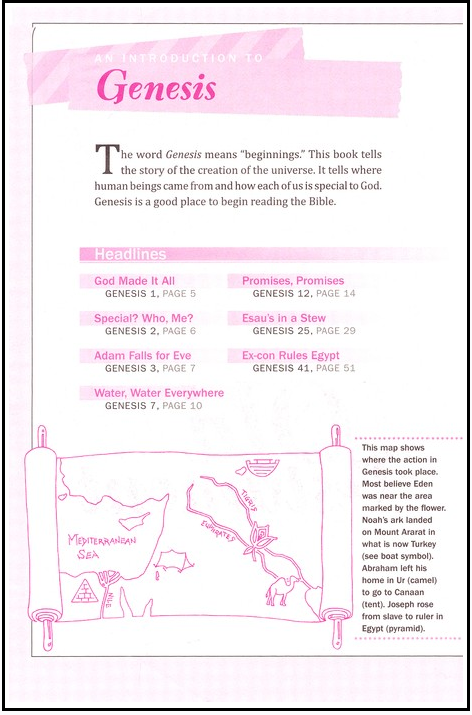 KJV Study Bible for Girls Hardcover