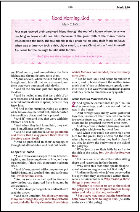 KJV Study Bible for Girls Hardcover