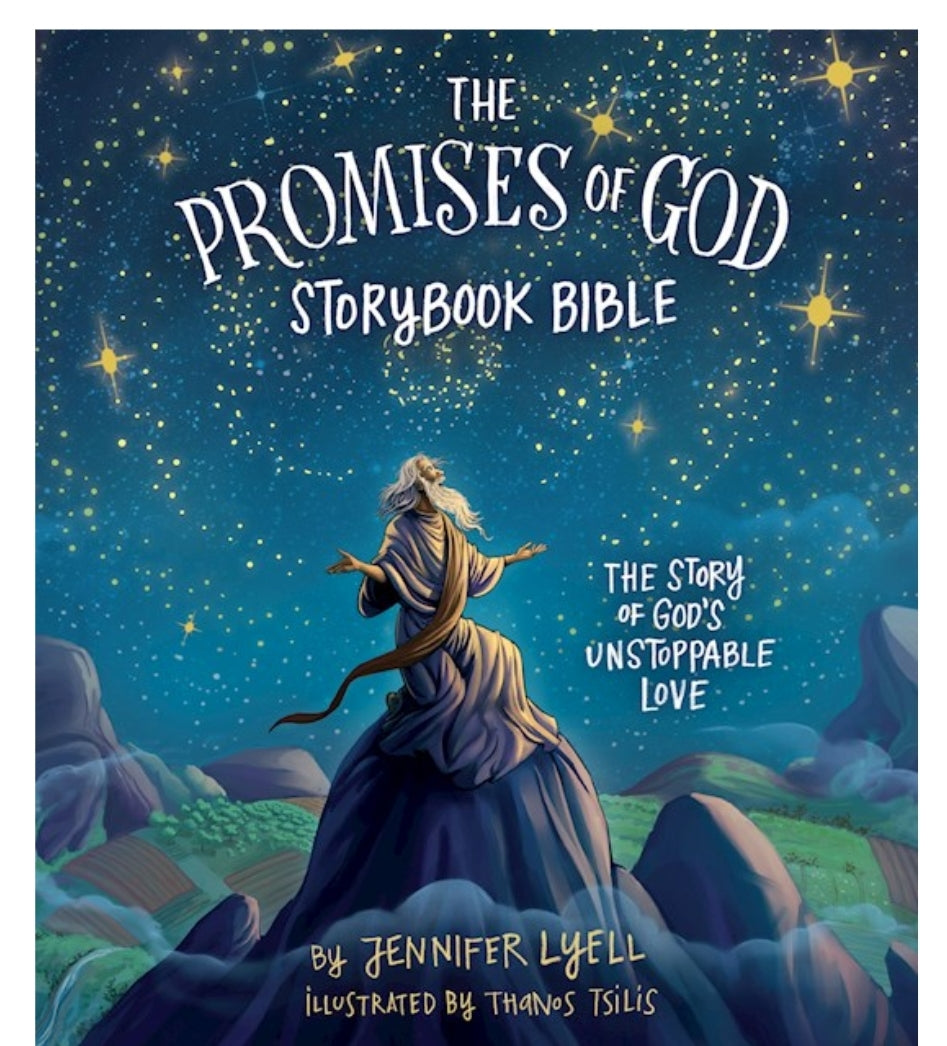The Promises Of God Bible Storybook