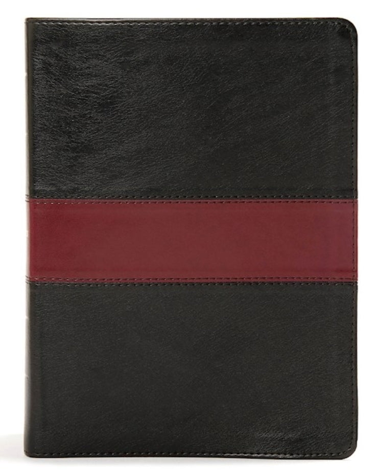KJV Apologetics Study Bible-Black/Burgundy LeatherTouch