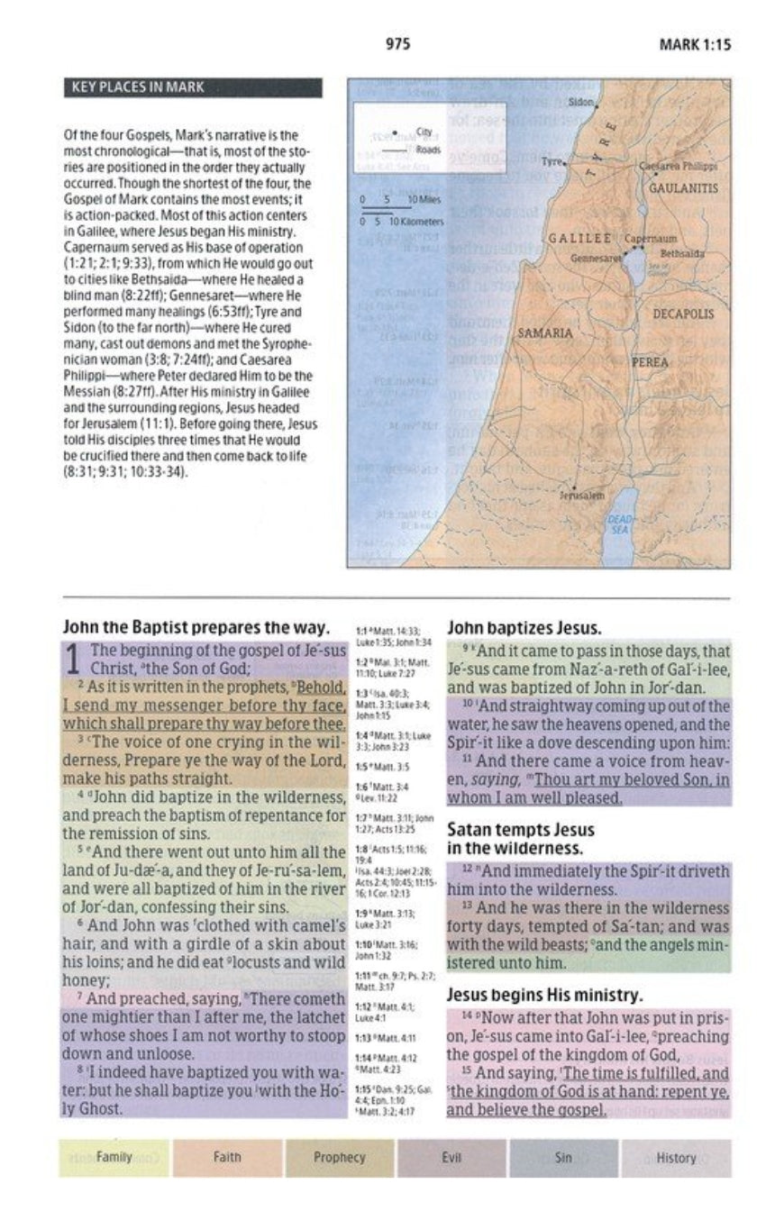 KJV Rainbow Study Bible (Full-Color)- LeatherTouch