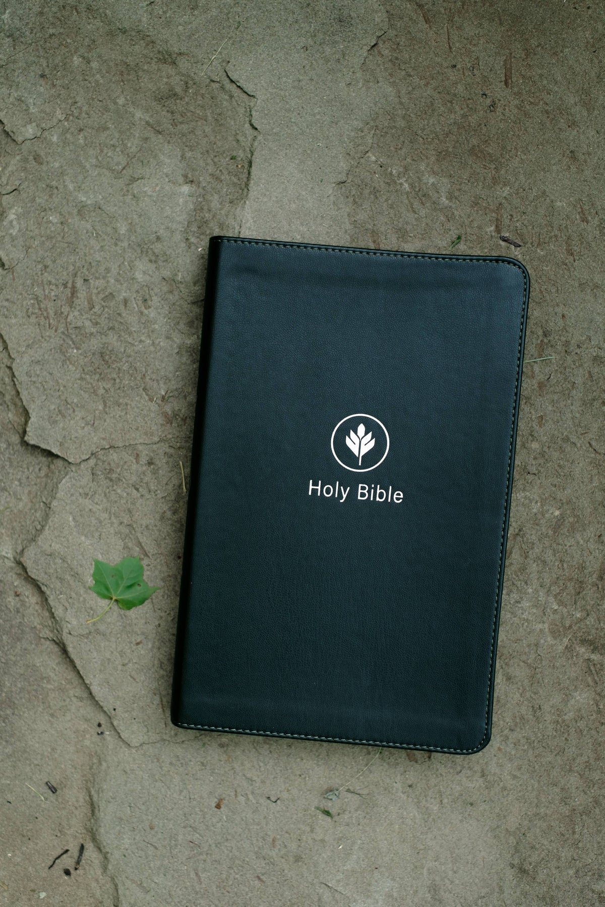 The KJV Study Bible, Indexed (Evergreen Fog)