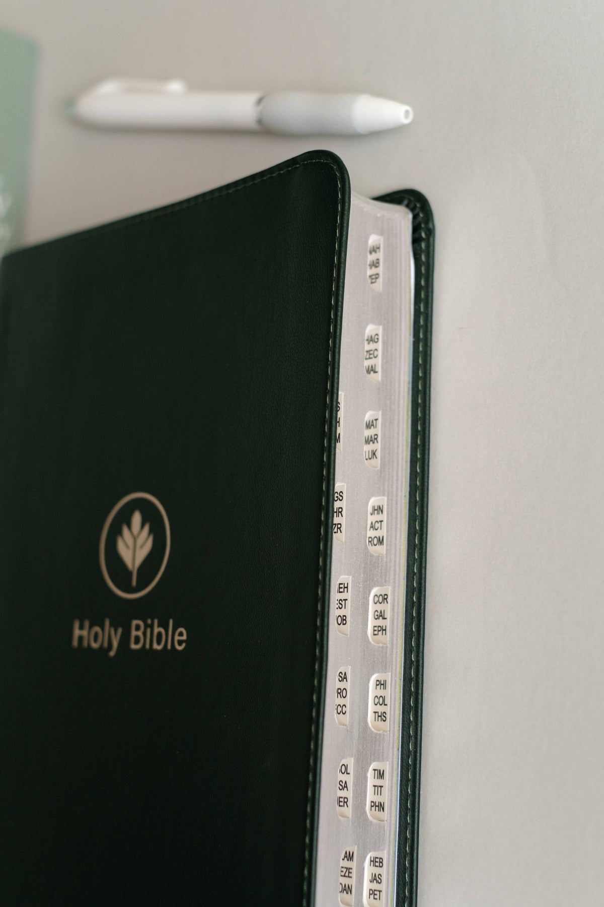 The KJV Study Bible, Indexed (Evergreen Fog)