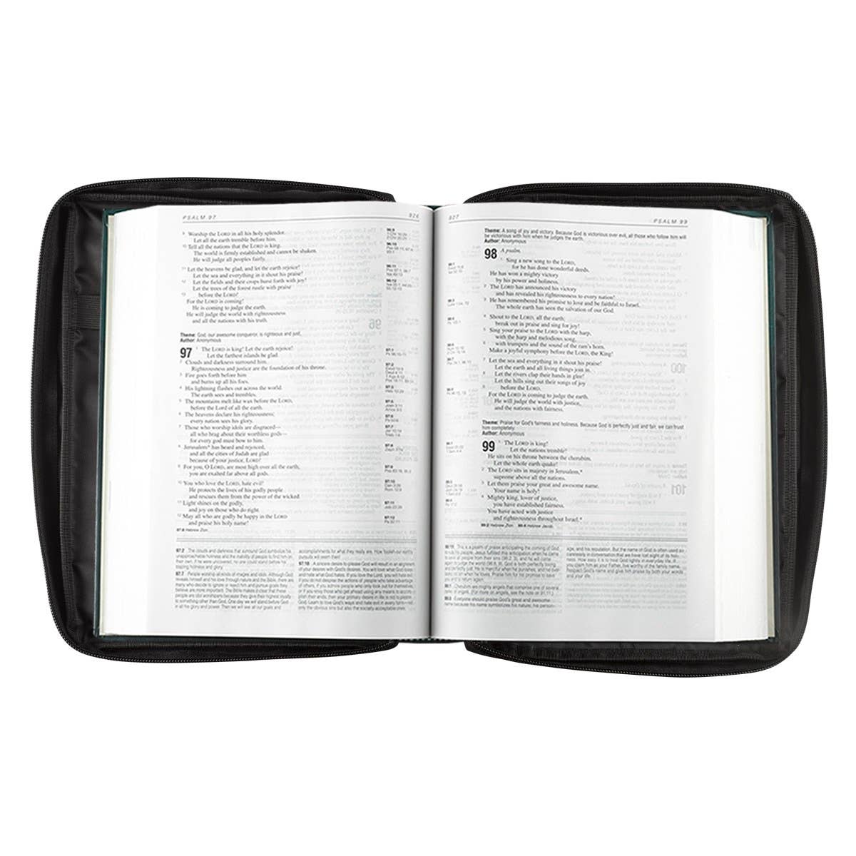 Bible Cover Value Black Ichthus Patch