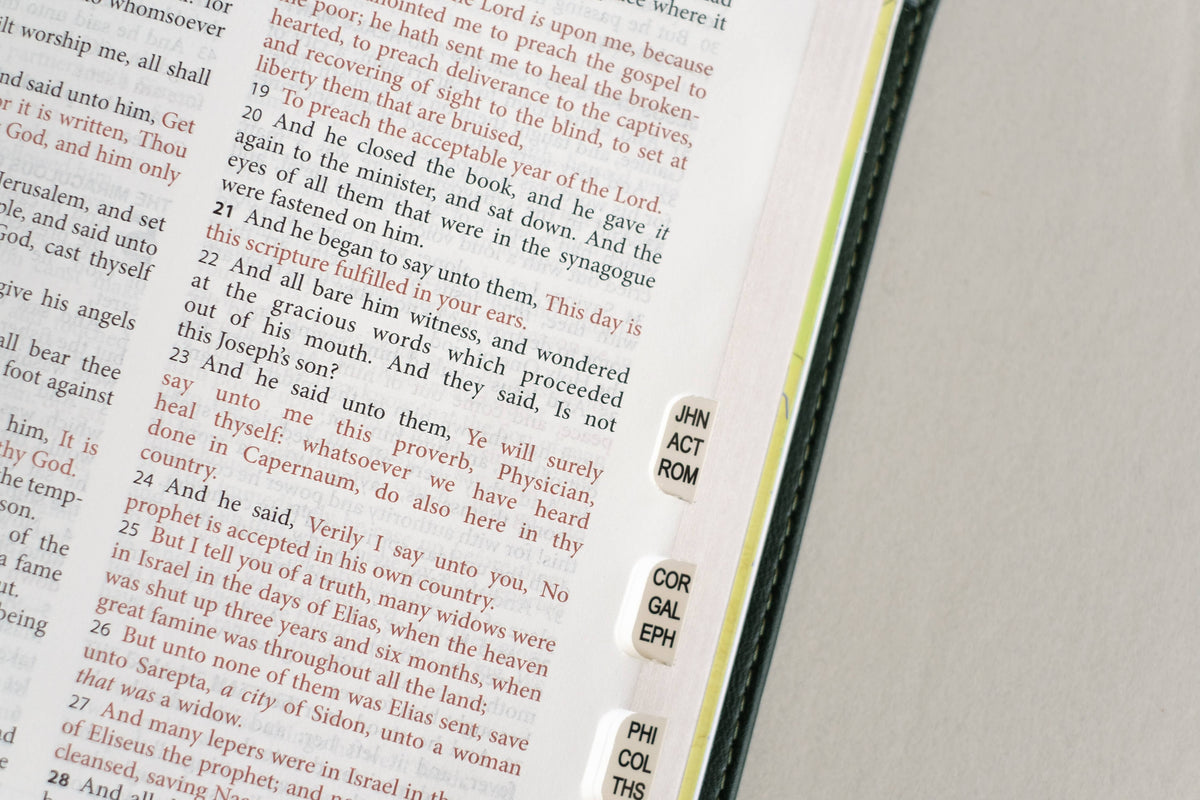 The KJV Study Bible, Indexed (Evergreen Fog)
