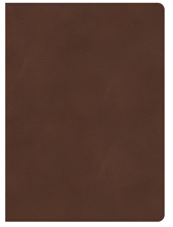 KJV Single-Column Wide-Margin Bible, Brown LeatherTouch