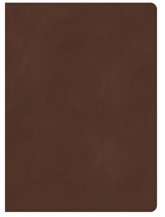 KJV Single-Column Wide-Margin Bible, Brown LeatherTouch