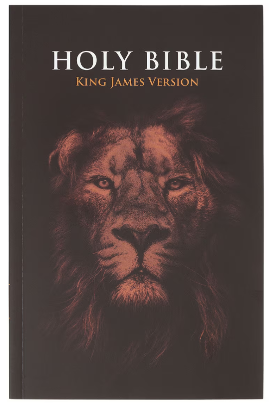 KJV-Lion Softcover -Outreach Bible