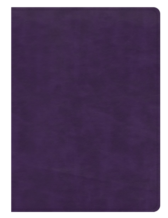 KJV Study Bible, Full-Color, Plum LeatherTouch- Holman