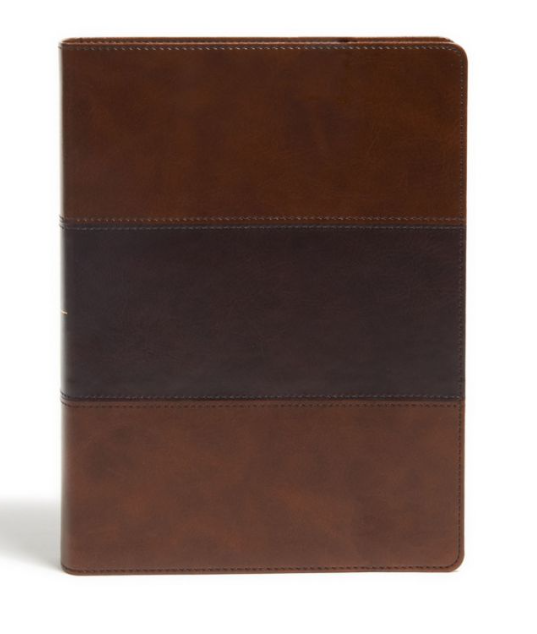 KJV Study Bible, Full-Color, Plum LeatherTouch- Holman