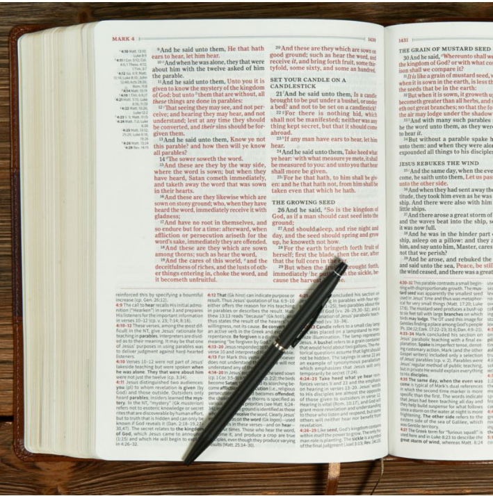 KJV Study Bible, Full-Color, Plum LeatherTouch- Holman