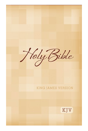Paperback- Large Print Bible- Hendrickson