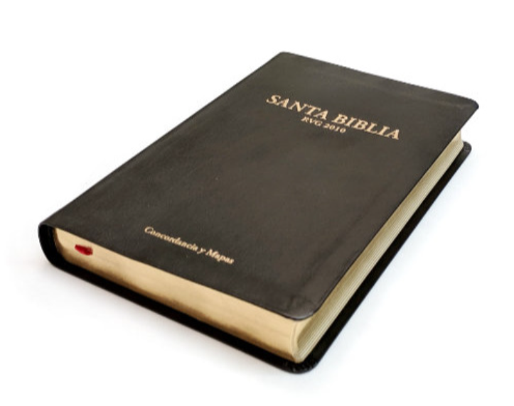 RVG - Center Reference Bonded Leather Edition