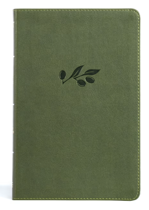 KJV Thinline Bible, Black LeatherTouch- Holman