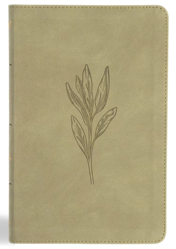 KJV Thinline Bible, Black LeatherTouch- Holman