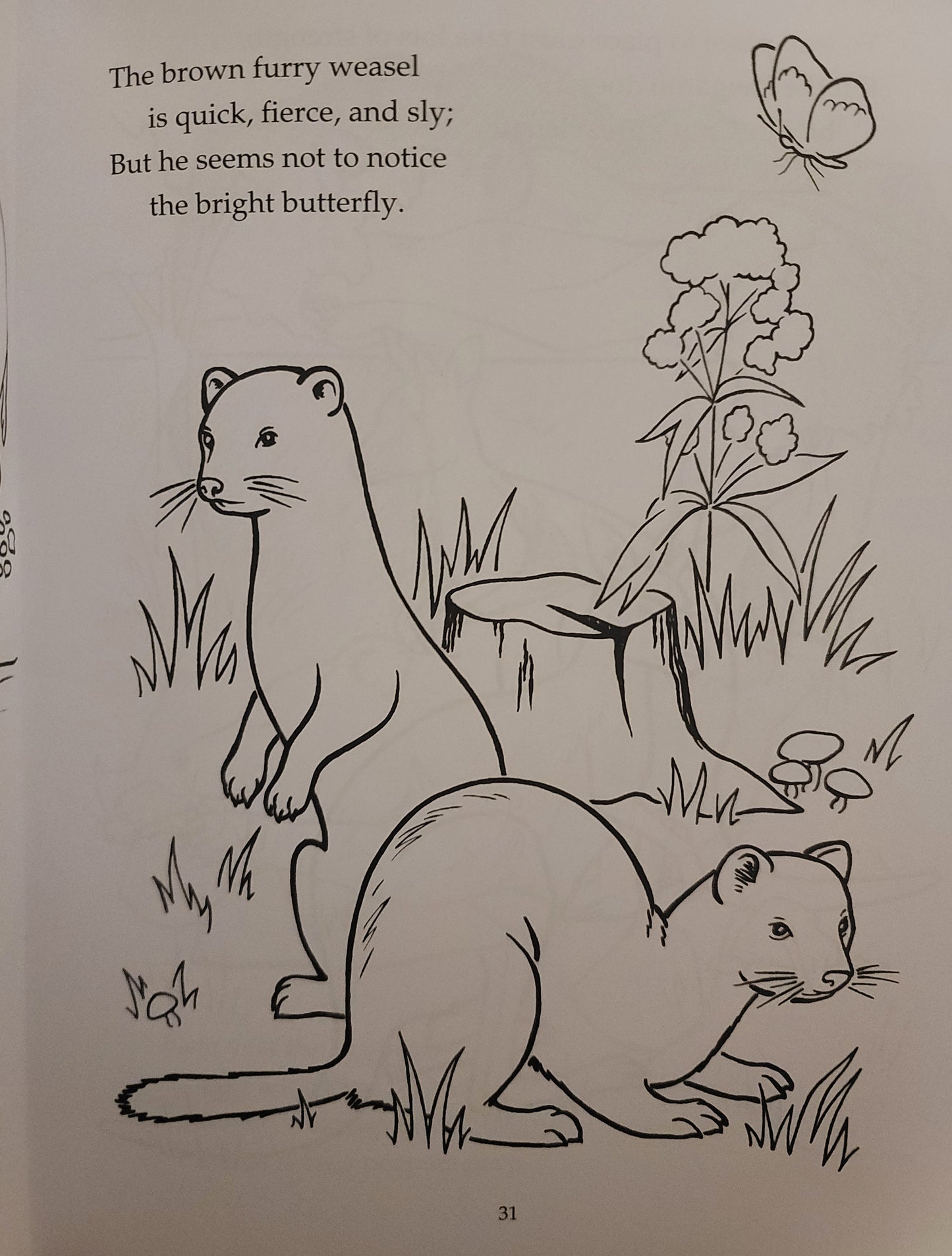 Noah's Ark Coloring Book