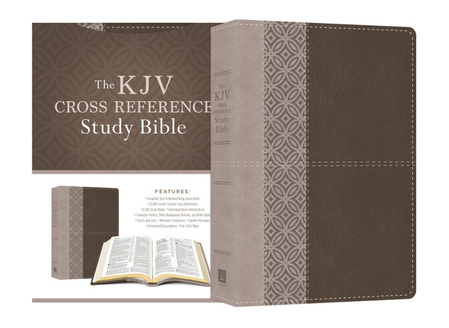 KJV Cross Reference Study Bible [Stone]