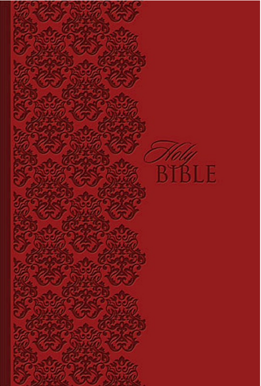 KJV King James Study Bible/Personal Size-Ruby LeatherSoft